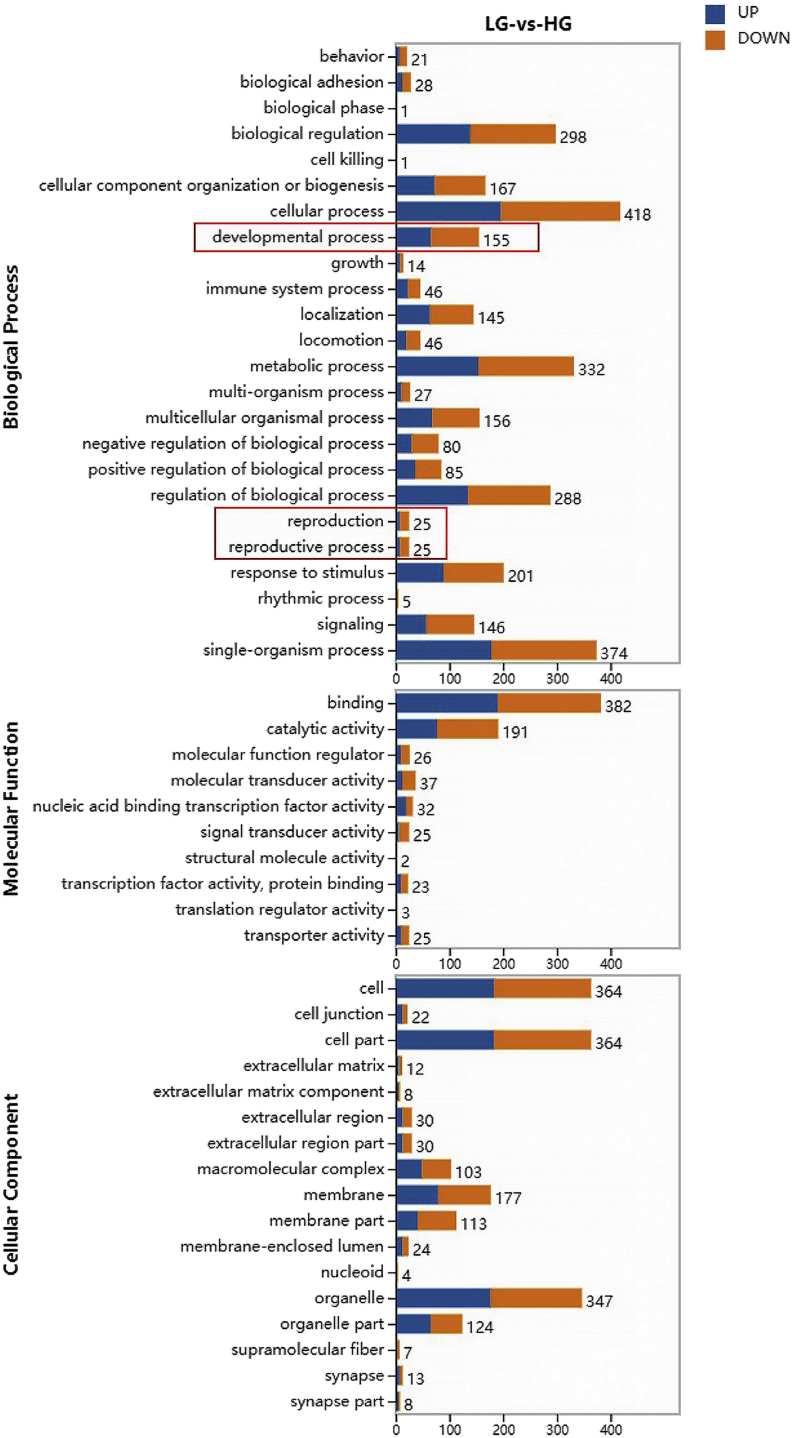 Figure 10