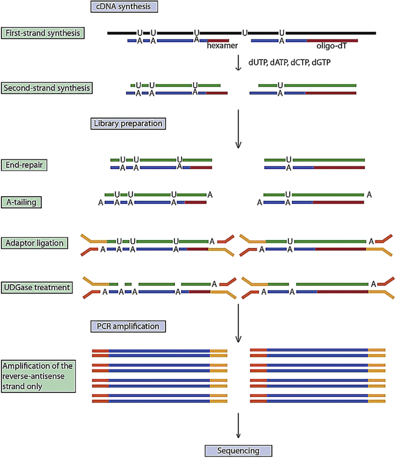 Figure 2