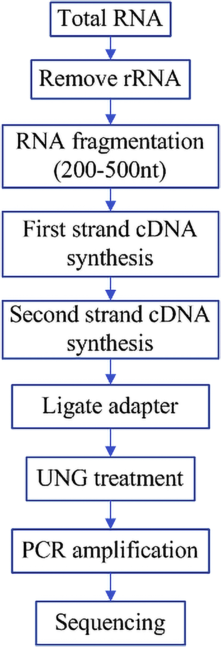 Figure 1