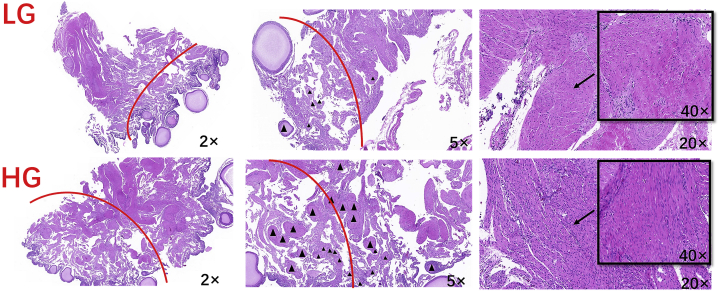 Figure 7