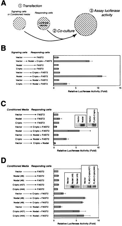 FIG. 3.