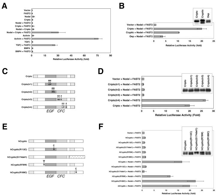 FIG. 2.