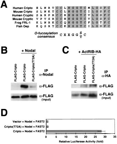 FIG. 5.