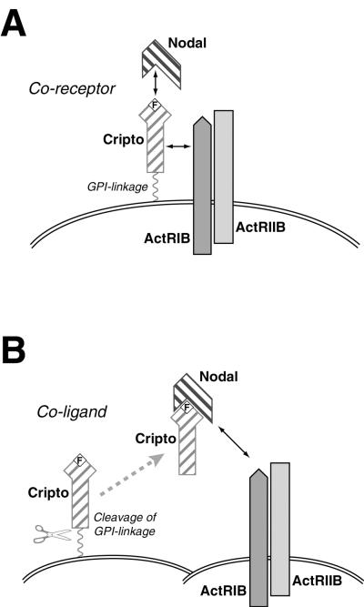 FIG. 7.