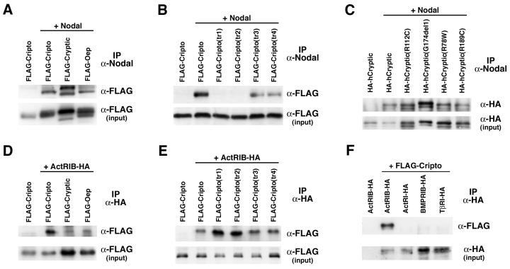 FIG. 4.