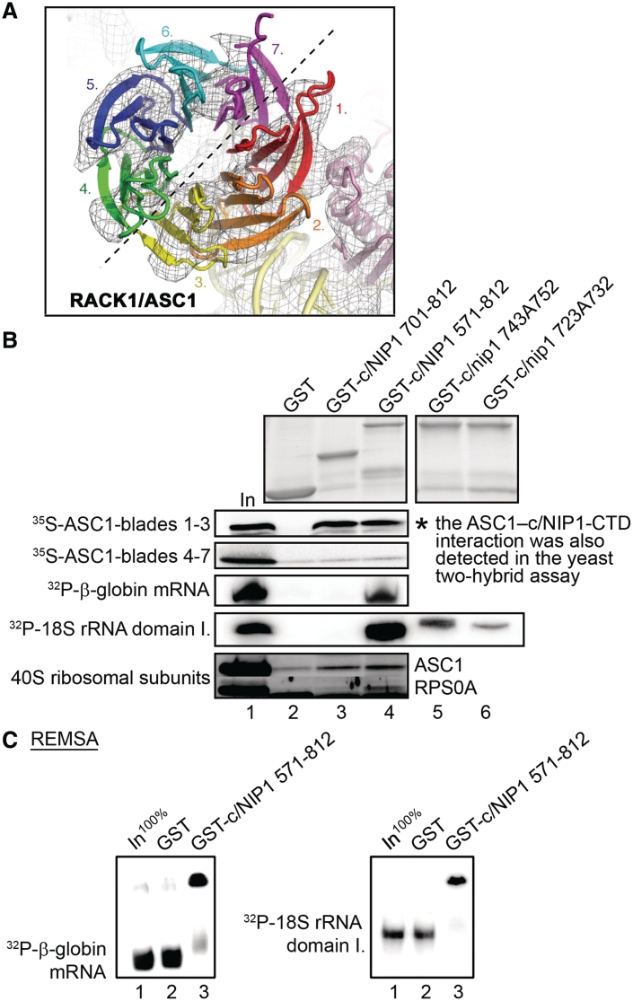 Figure 6.