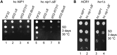 Figure 5.