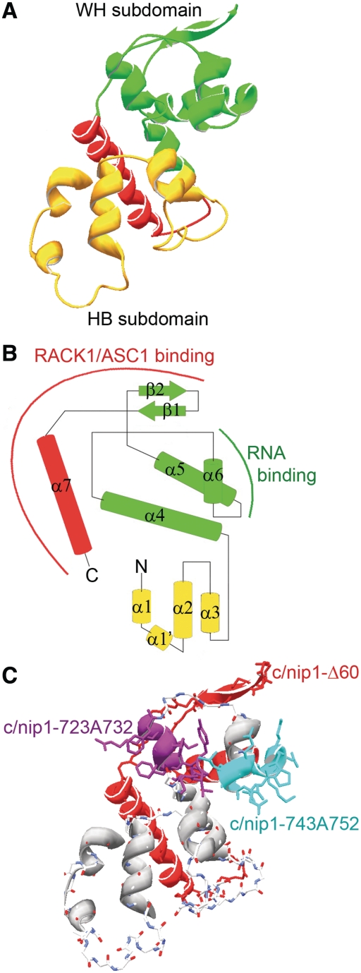 Figure 2.