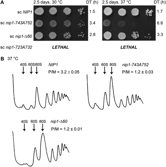 Figure 3.