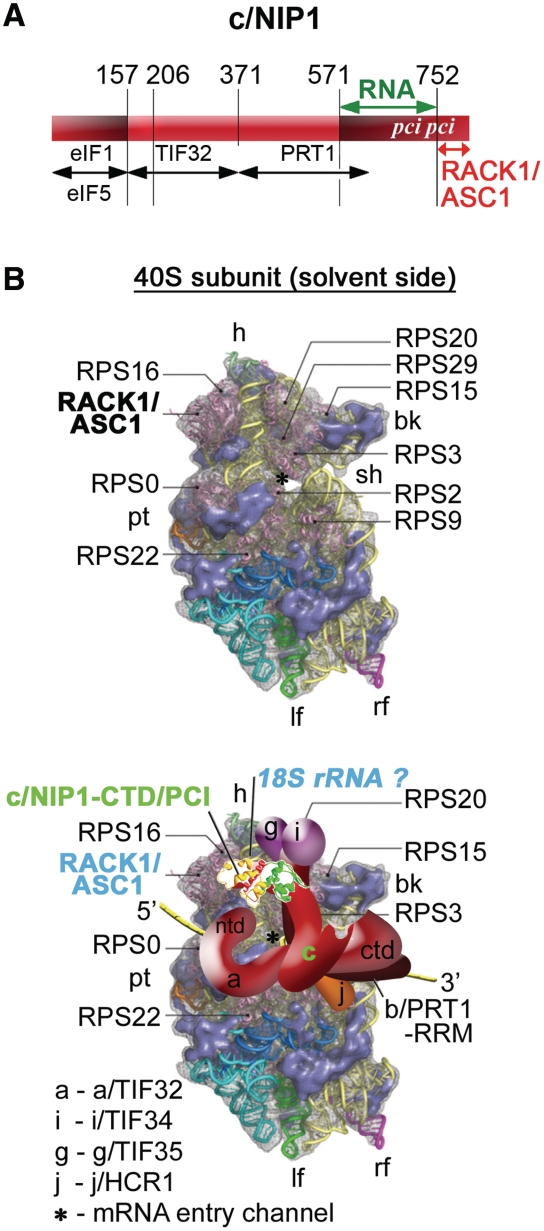 Figure 7.