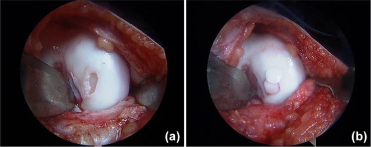 Figure 5.