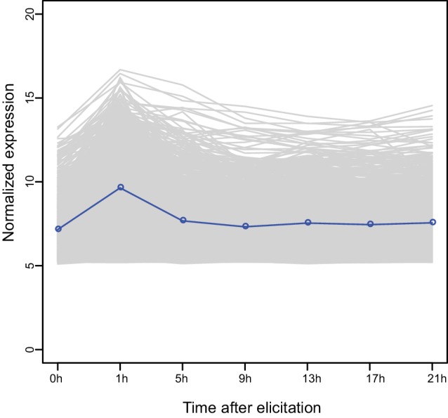 Figure 2—figure supplement 1.