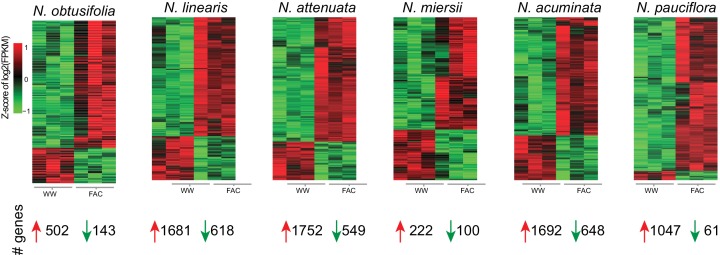 Figure 1—figure supplement 1.