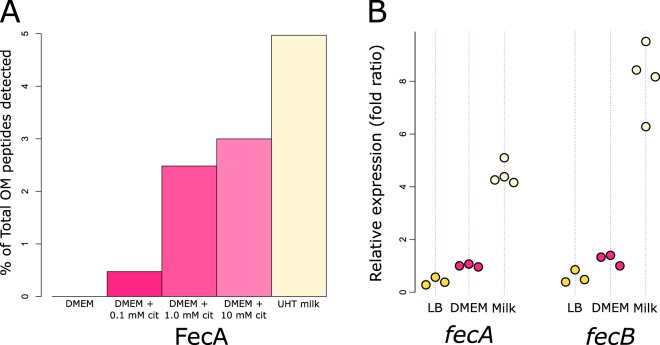 FIG 2 