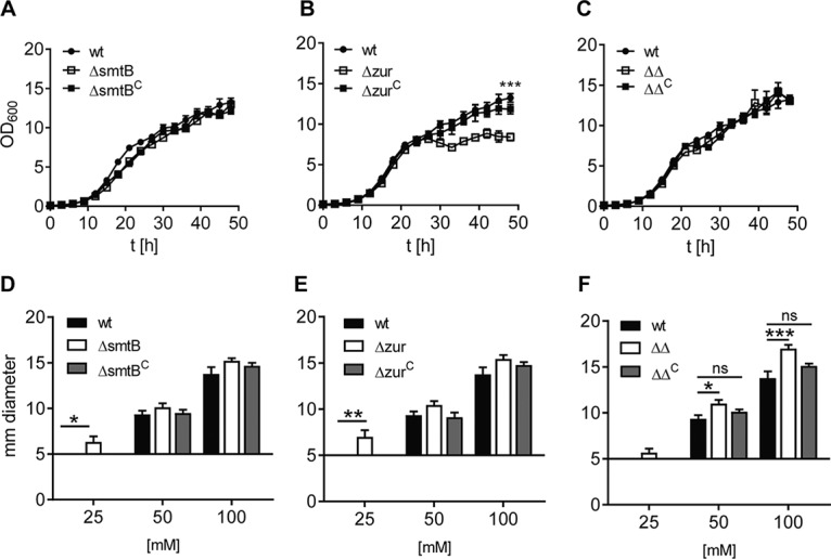 FIG 2