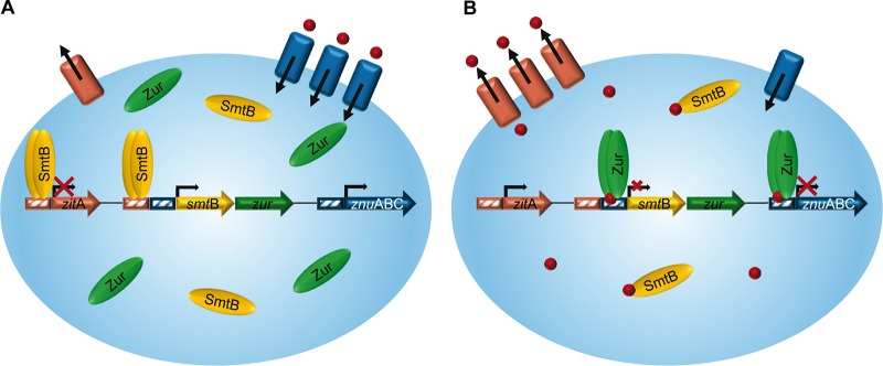 FIG 6