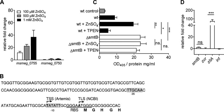 FIG 4