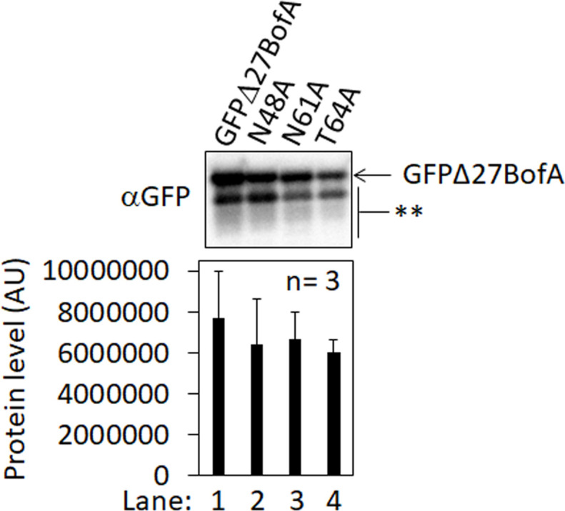 Figure 2—figure supplement 2.