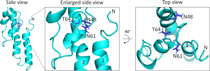 Figure 7—figure supplement 2.