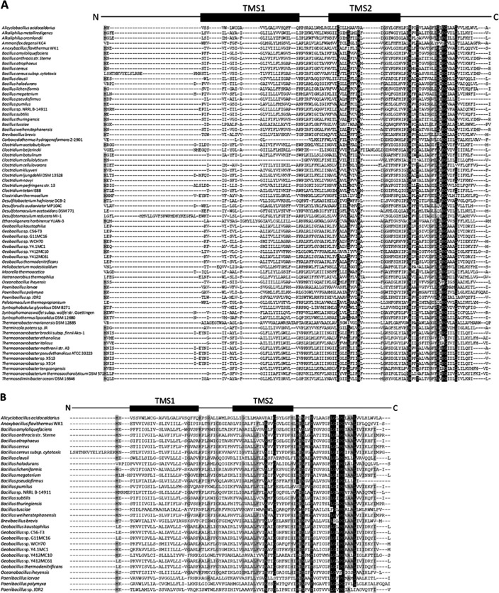 Figure 2—figure supplement 1.