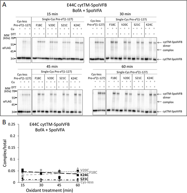 Figure 6—figure supplement 2.