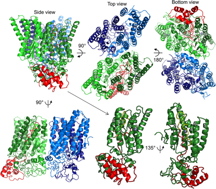 Figure 7—figure supplement 1.