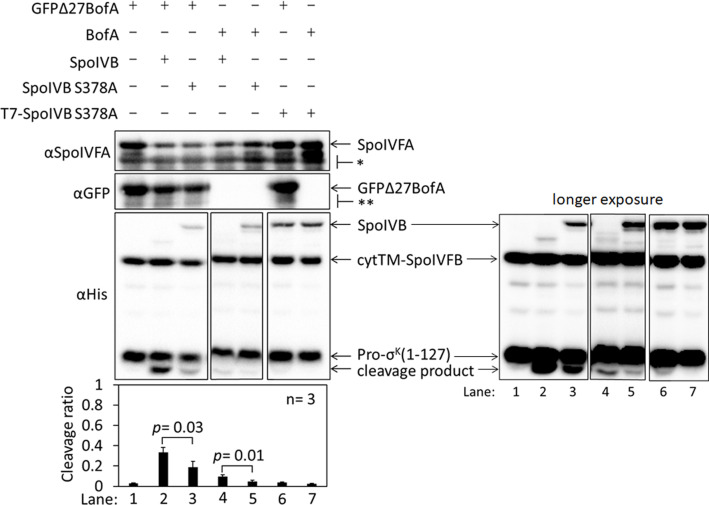 Figure 1—figure supplement 3.