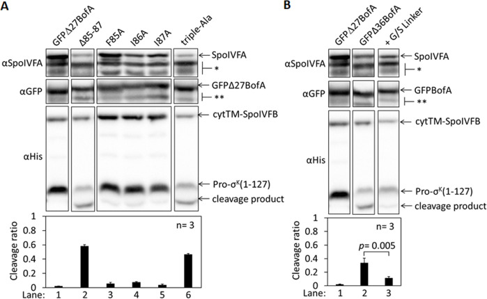 Figure 2—figure supplement 3.