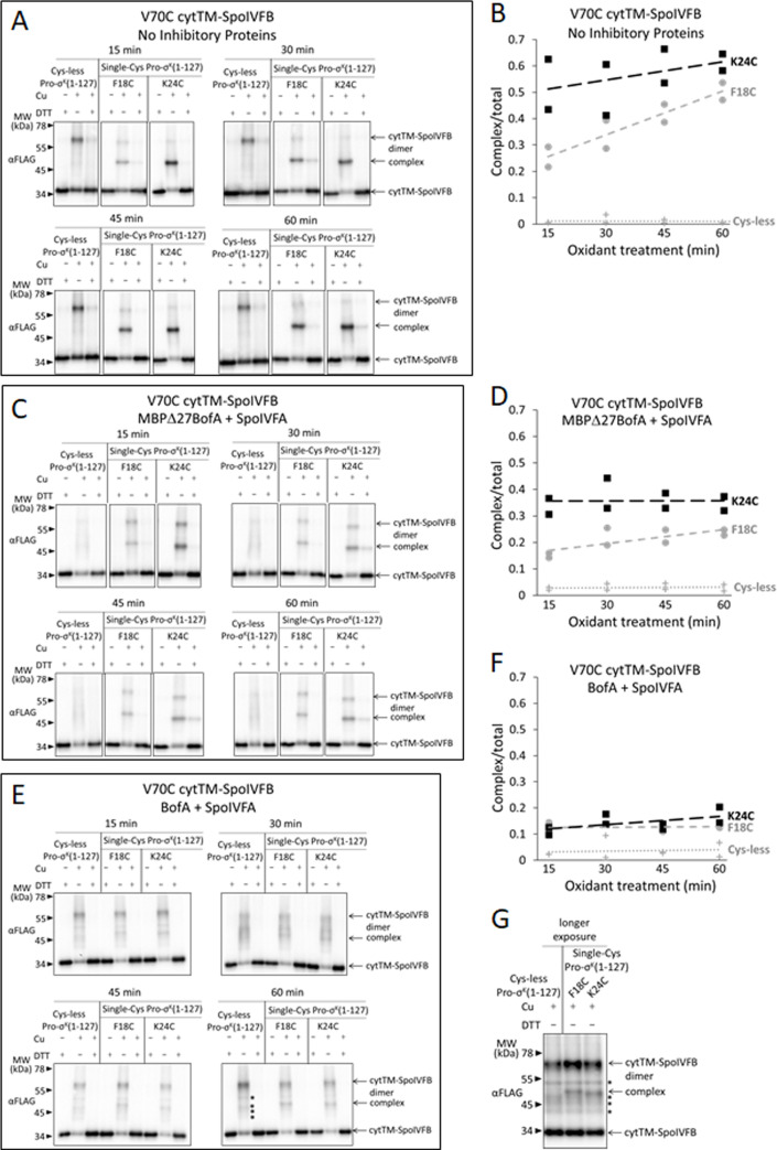 Figure 6—figure supplement 3.