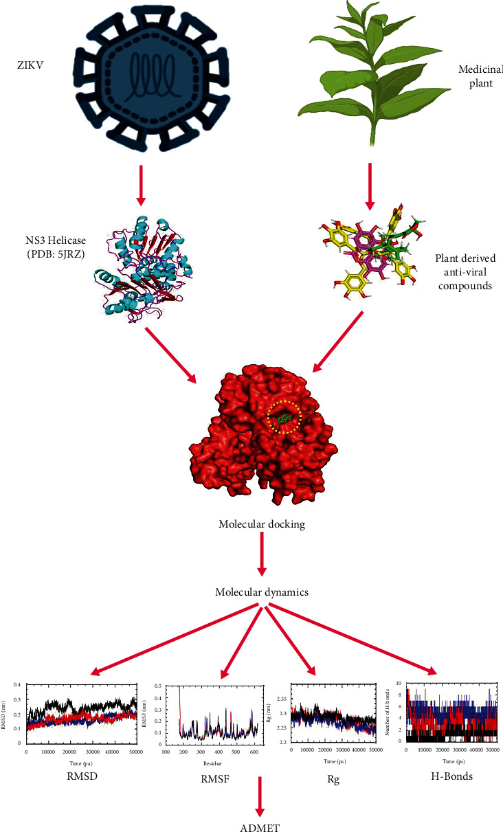 Figure 2