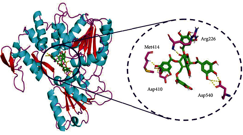 Figure 6