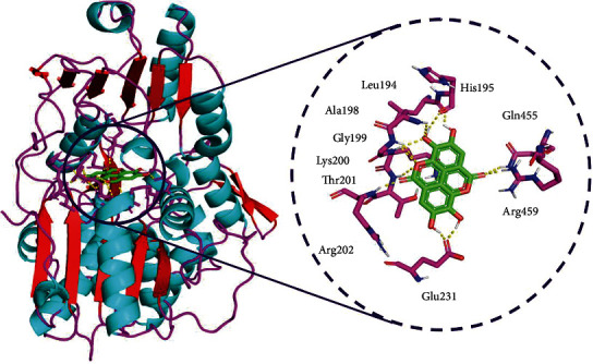 Figure 4