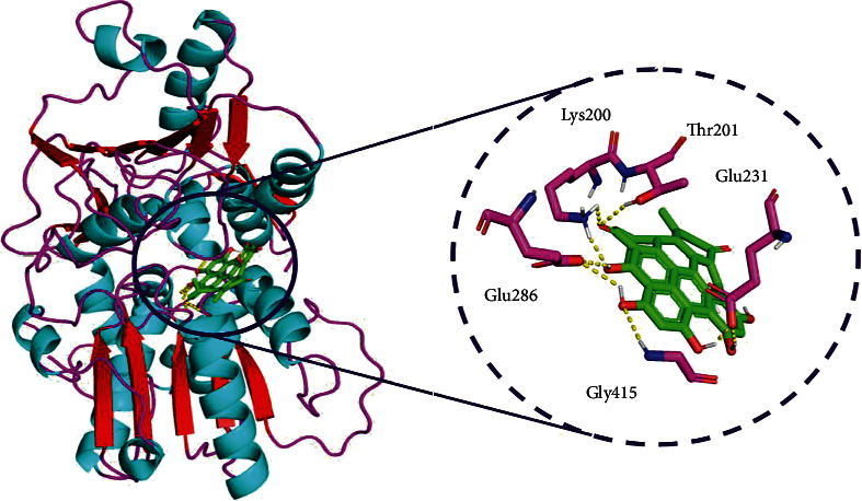 Figure 5