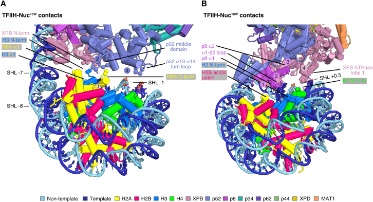 Figure 6