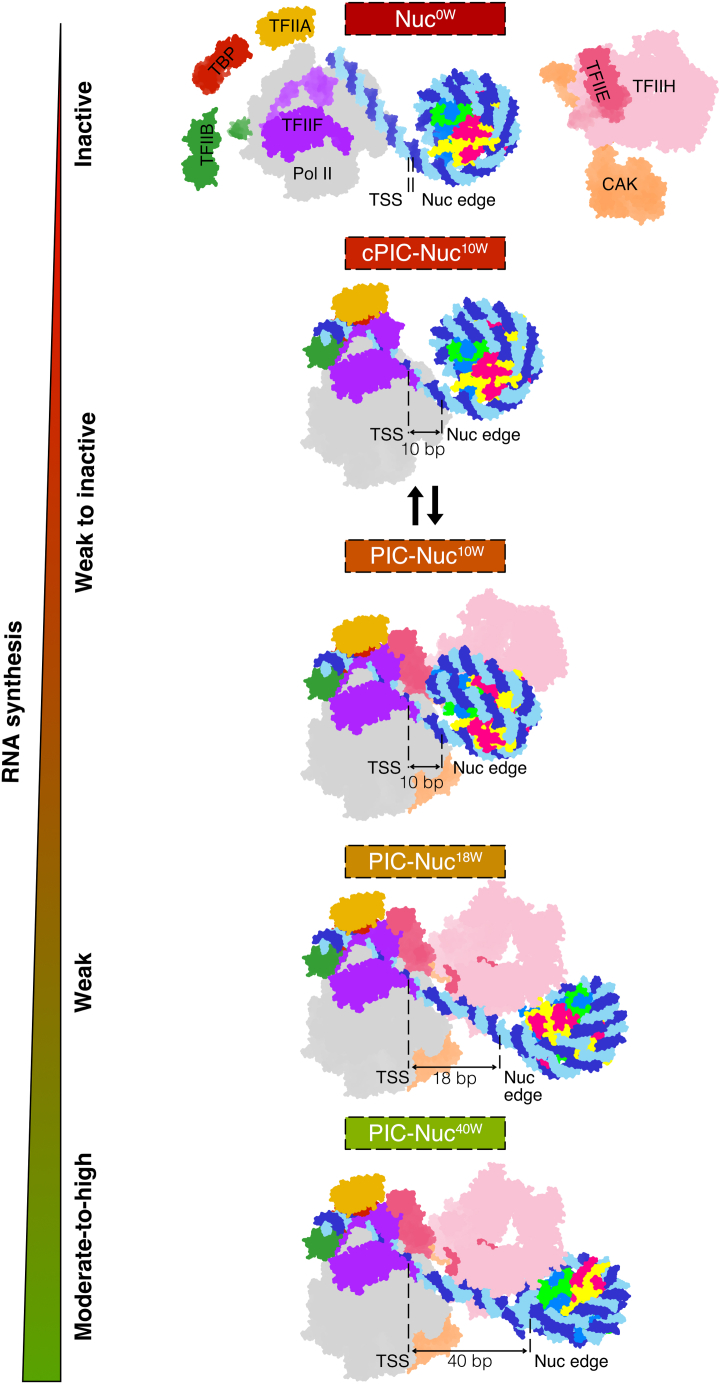 Figure 7