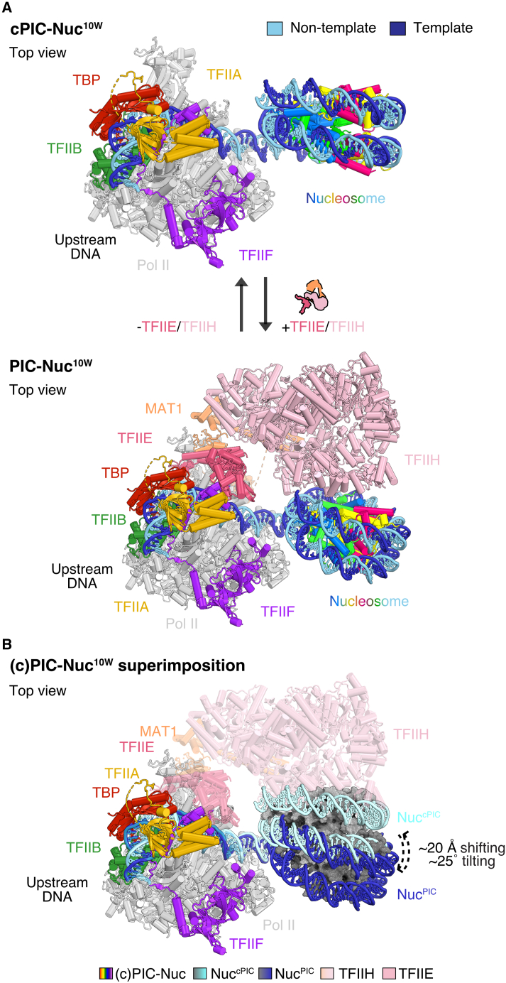 Figure 5