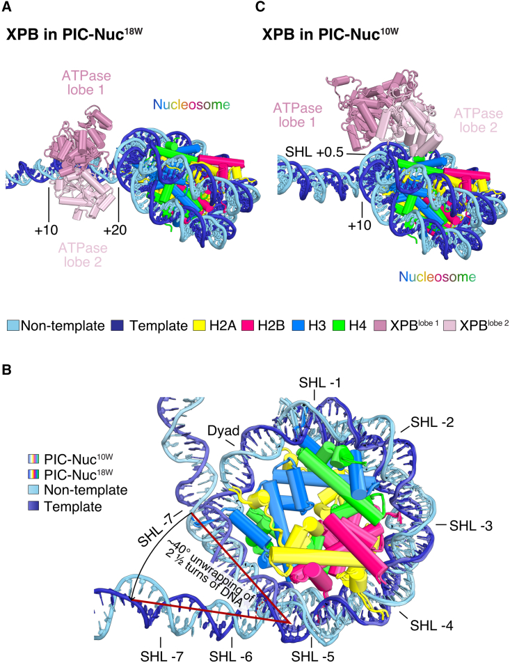 Figure 4