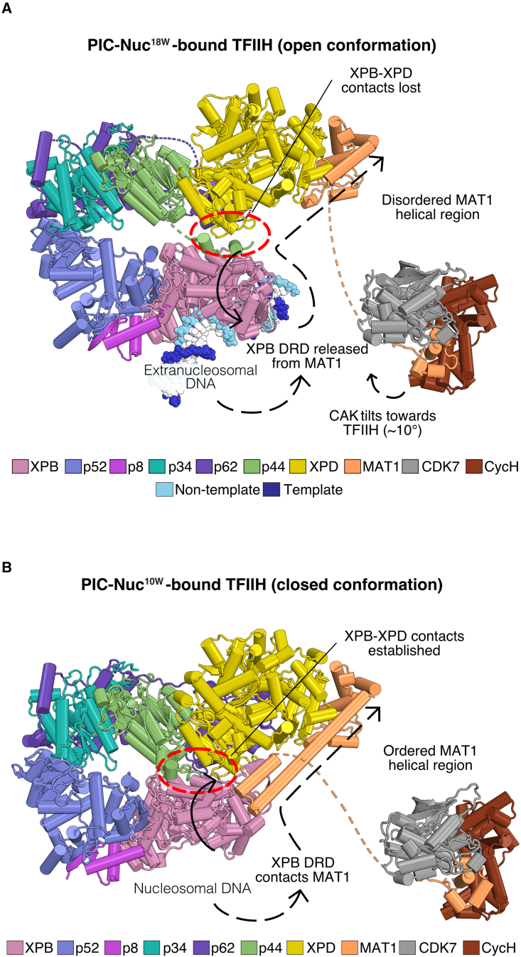 Figure 3