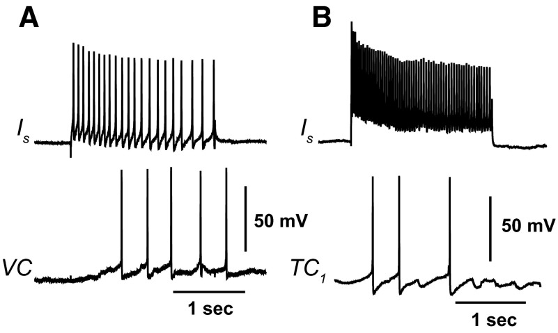 FIG. 6.