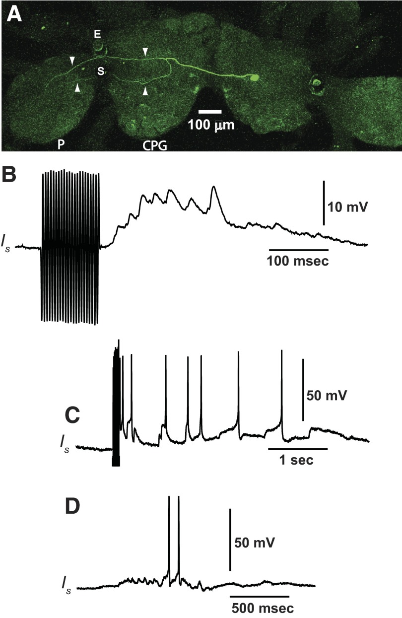 FIG. 4.