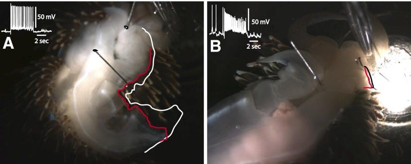 FIG. 7.