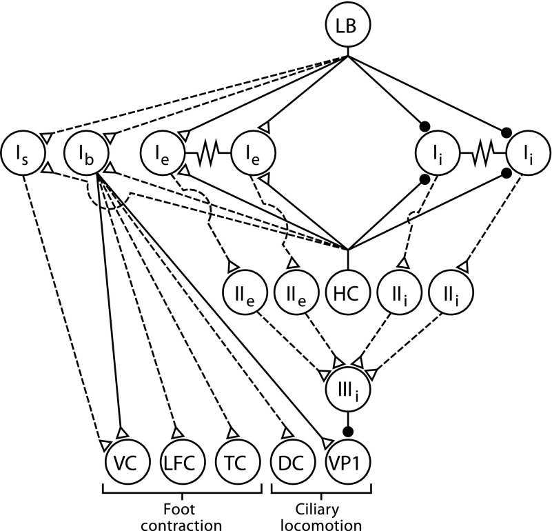 FIG. 9.