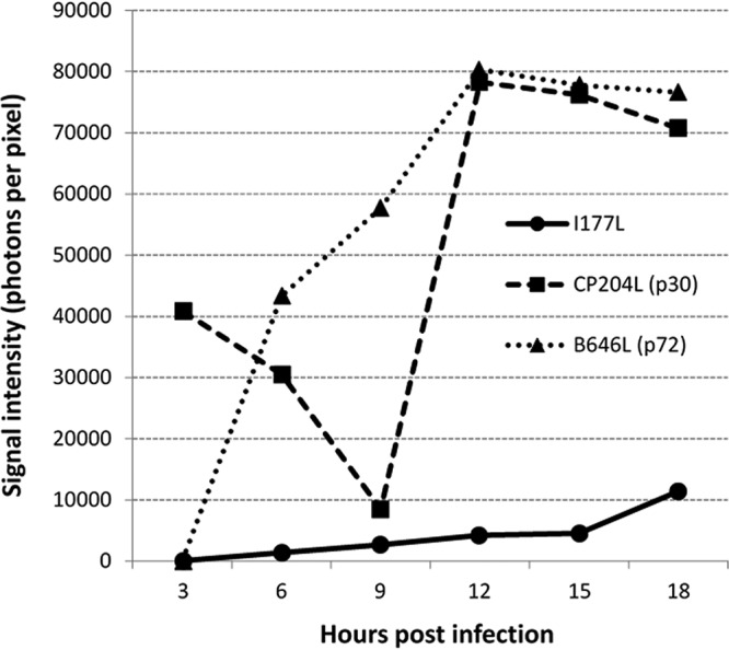 FIG 2