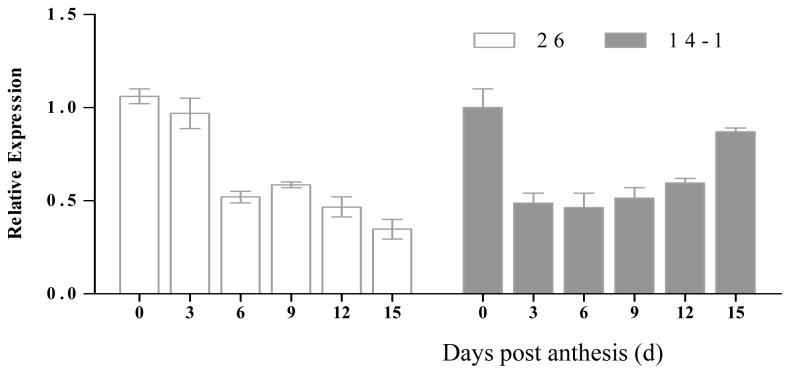 Figure 4