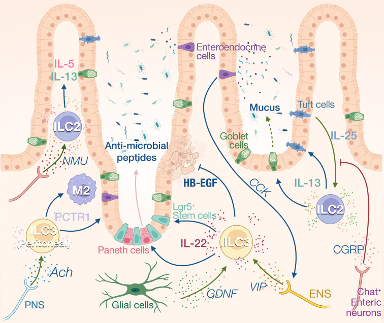 Figure 3