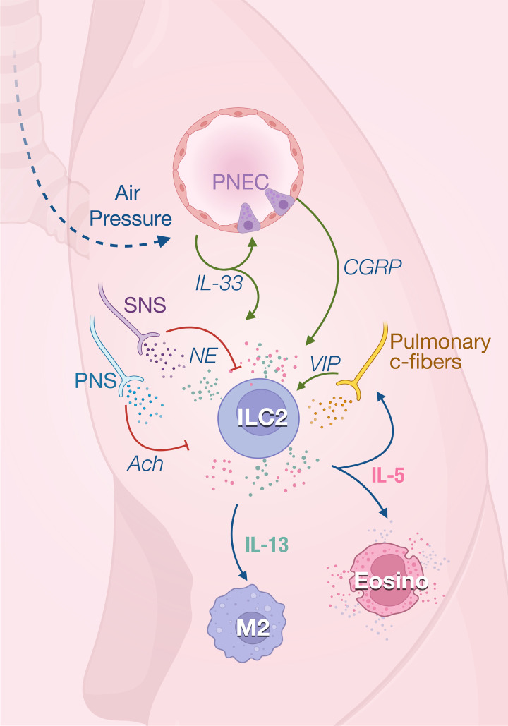 Figure 2