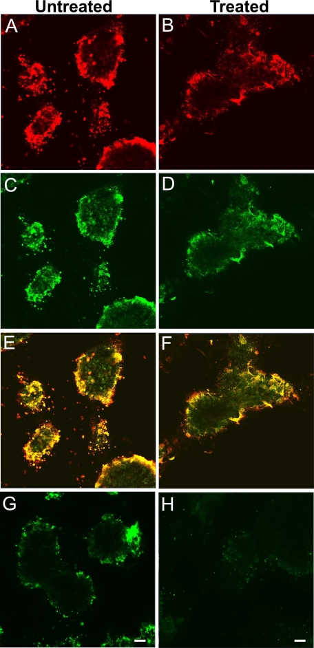 FIGURE 9.