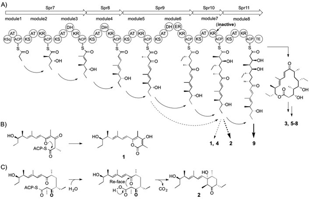 Scheme 2