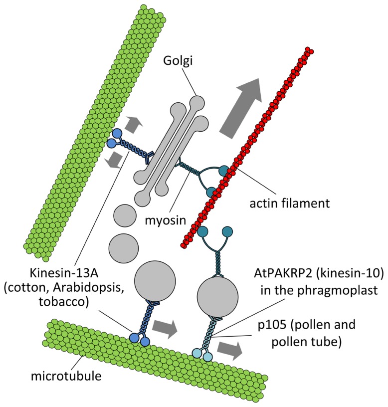 FIGURE 2