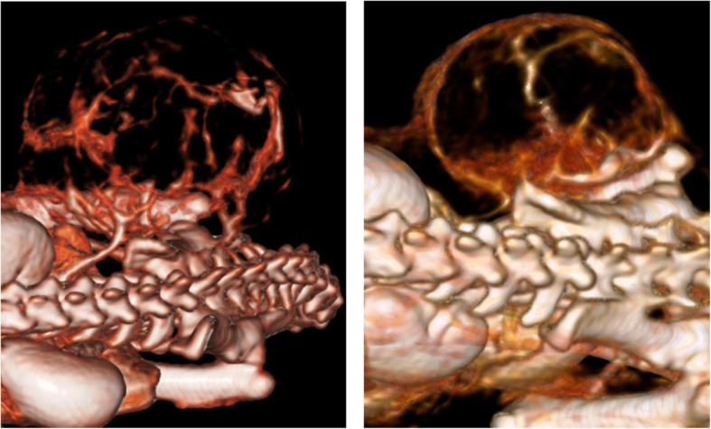 Fig. 7